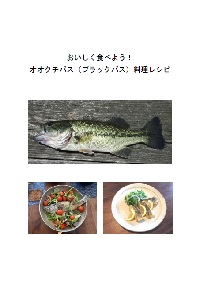 Hׂ悤IIIN`oXiubNoXjVs