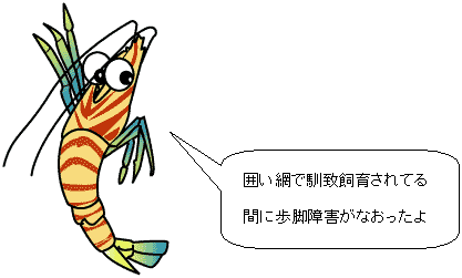 vol18_kurumaebi.gif (6877 oCg)